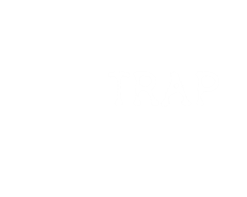 Trapdoor Marketing - Alternate Logo - 1000x800